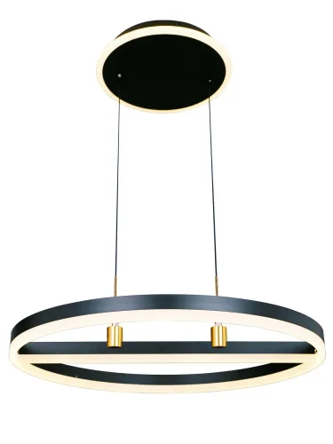 Люстра подвесная с пультом HIGH-TECH LED LAMPS 82048 Natali Kovaltseva чёрная на 1 лампа, основание чёрное в стиле современный хай-тек минимализм с пультом фото 3